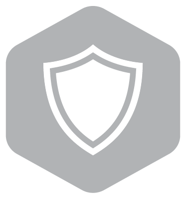 shield icon 