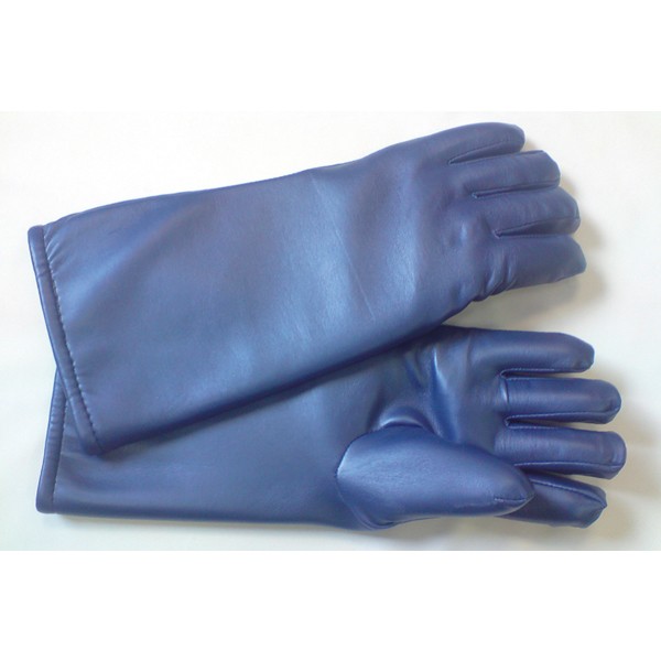 Gloves - GV5MPR