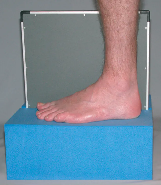 [FP40L] Lateral Foot Block - Closed Cell Foam